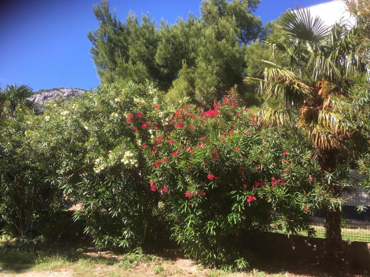 Sabina Apartments Omis Exterior photo